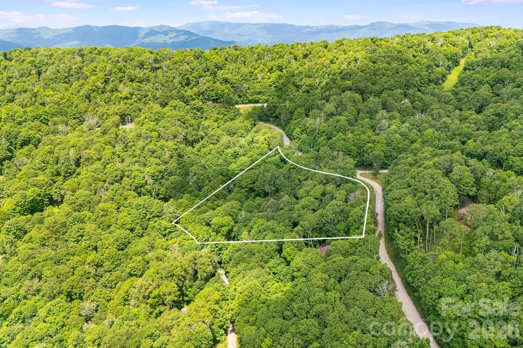 10 Buckeye Road Mars Hill NC 28754