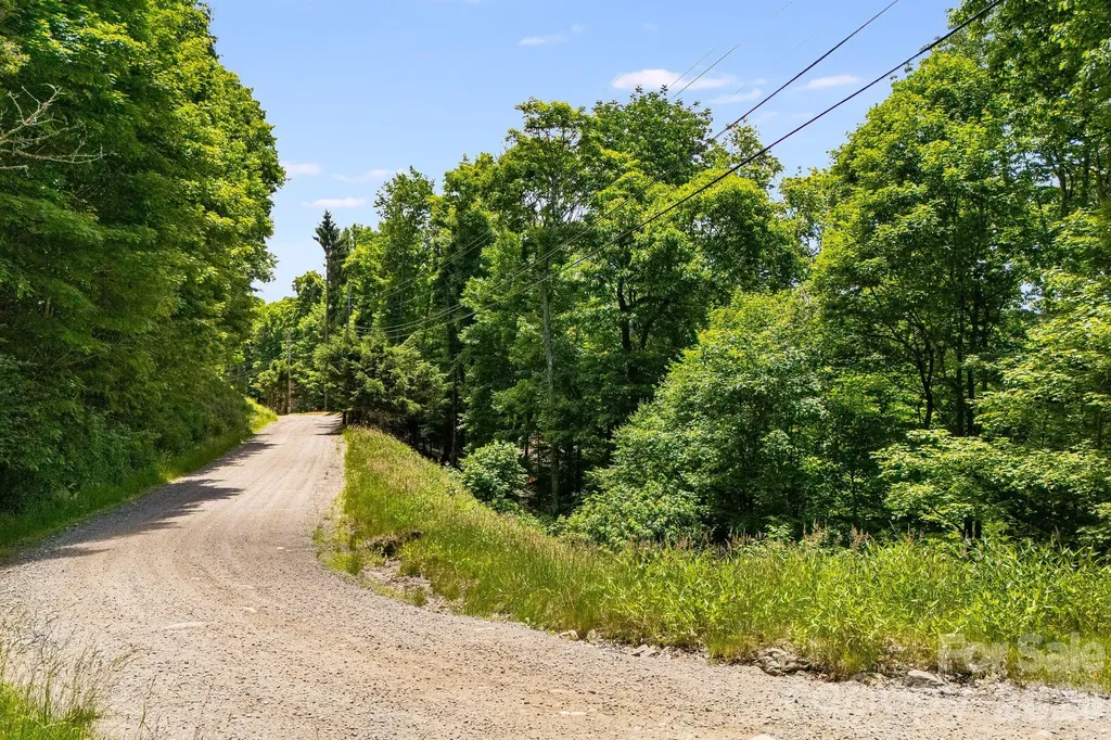 10 Buckeye Road Mars Hill NC 28754