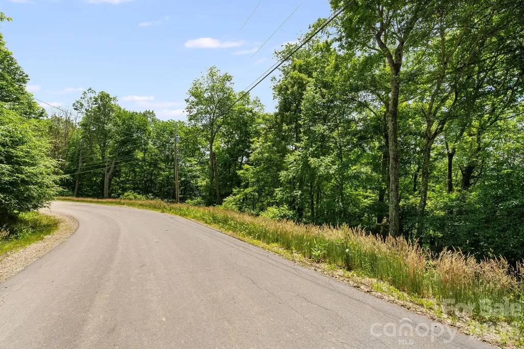 10 Buckeye Road Mars Hill NC 28754
