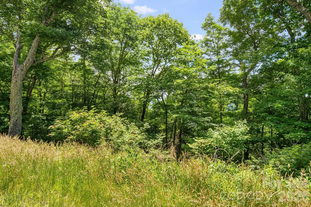 10 Buckeye Road Mars Hill NC 28754