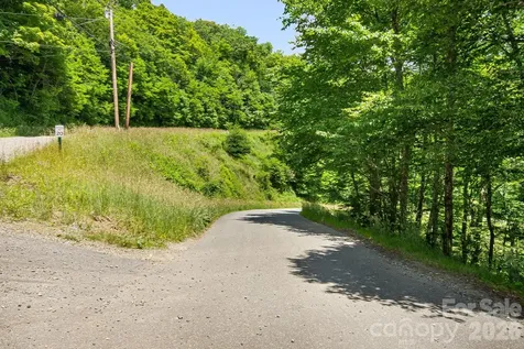 10 Buckeye Road Mars Hill NC 28754