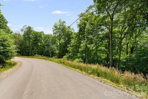 10 Buckeye Road Mars Hill NC 28754