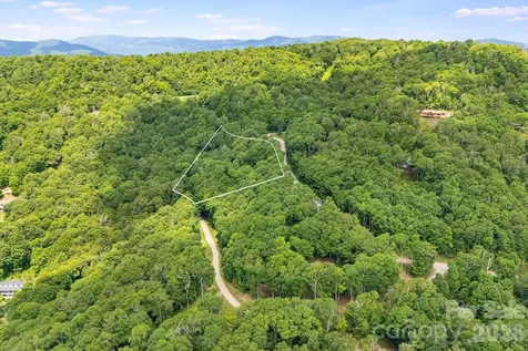 10 Buckeye Road Mars Hill NC 28754