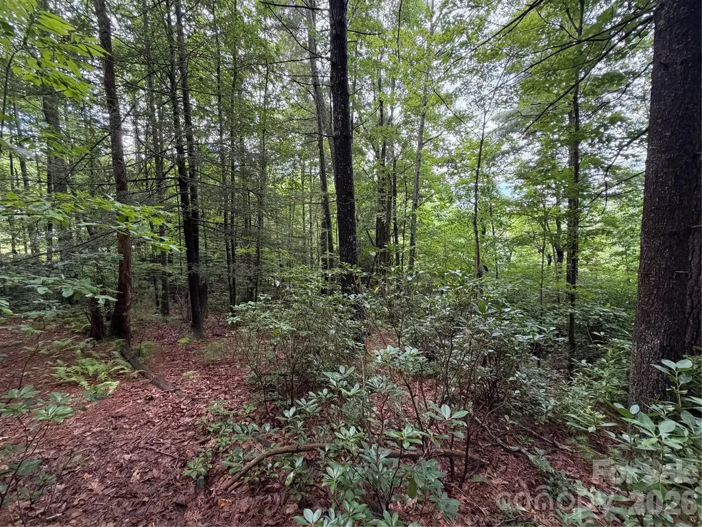 0 Gateway Drive Hendersonville NC 28739