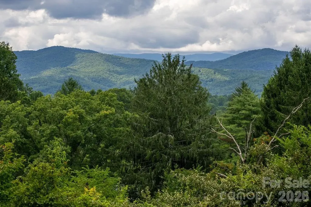 337 Delphia Drive Brevard NC 28712