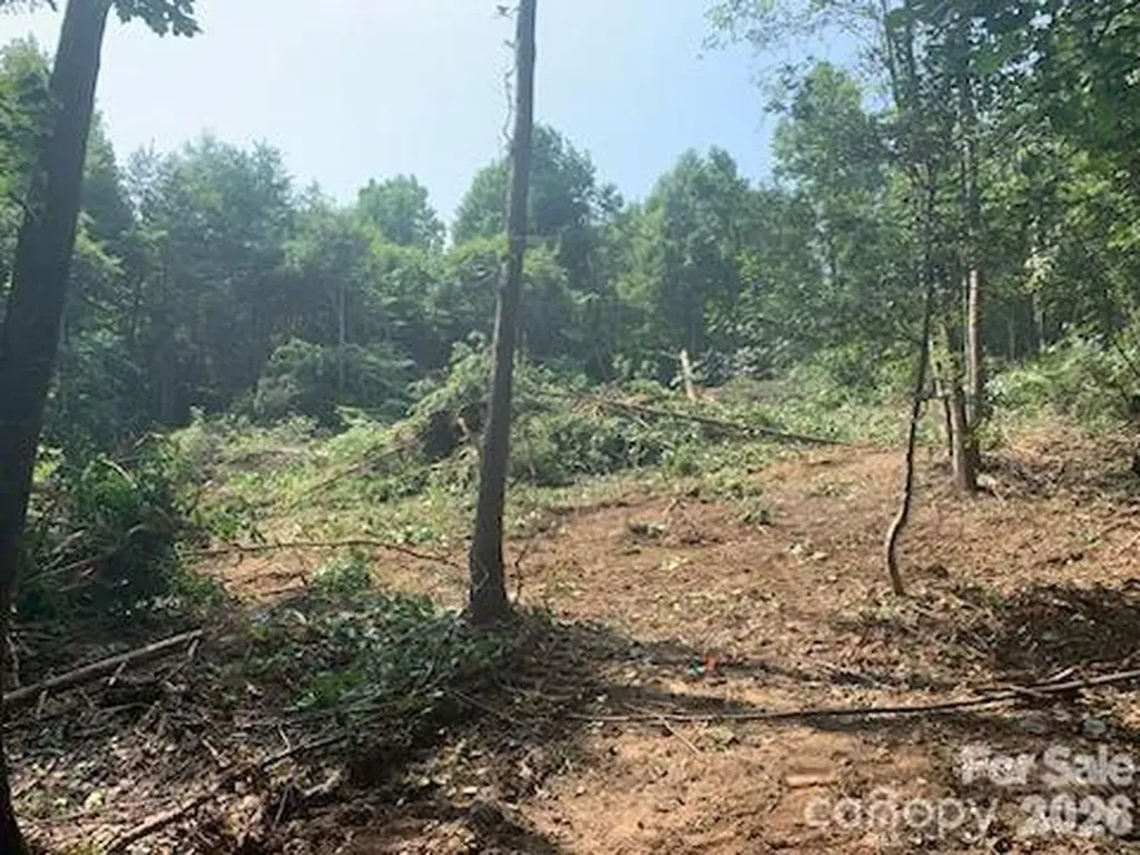 1 Old Vashti Road Taylorsville NC 28681