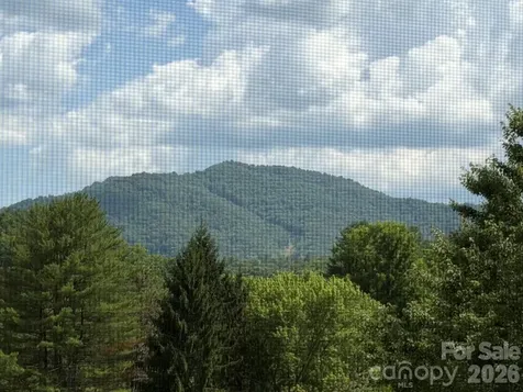 31 Mint Lake Court W Franklin NC 28734