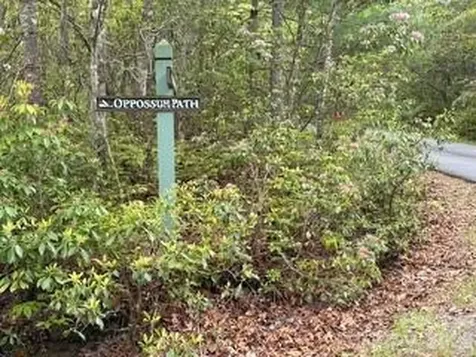 FR16 Opossum Path Brevard NC 28712
