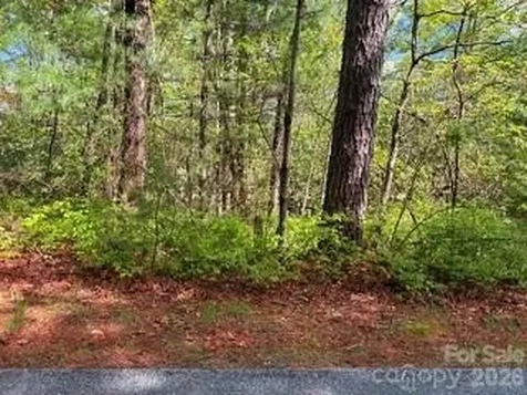 FR16 Opossum Path Brevard NC 28712
