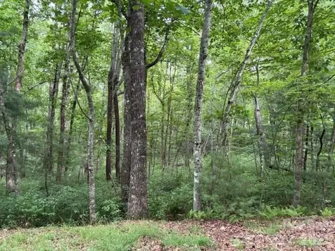 FR16 Opossum Path Brevard NC 28712