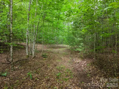 1408 Tellico Road Franklin NC 28734
