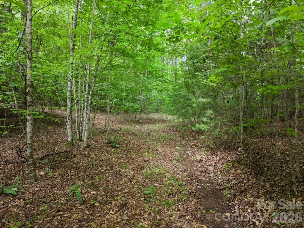 00 Tellico Road Franklin NC 28734