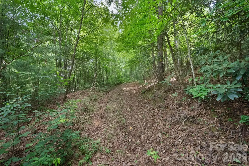 00 Tellico Road Franklin NC 28734