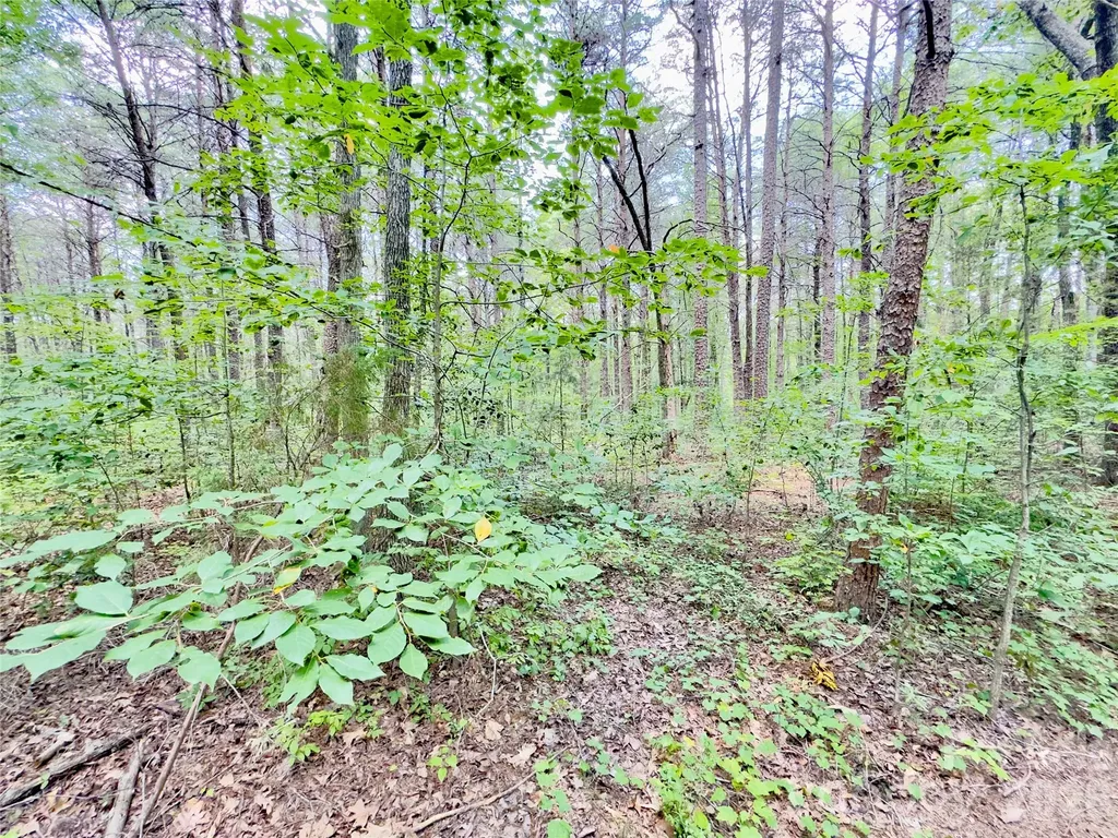 206 Porters Lane New London NC 28127
