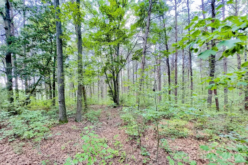 206 Porters Lane New London NC 28127