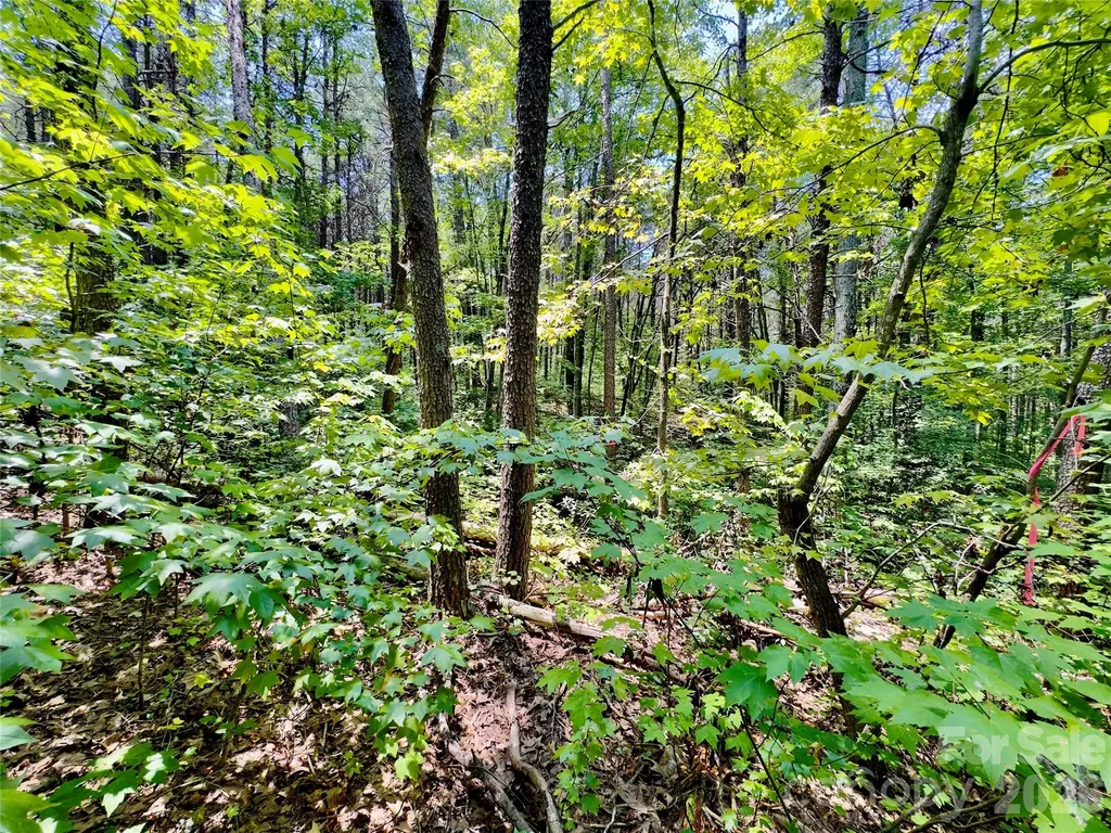 206 Porters Lane New London NC 28127