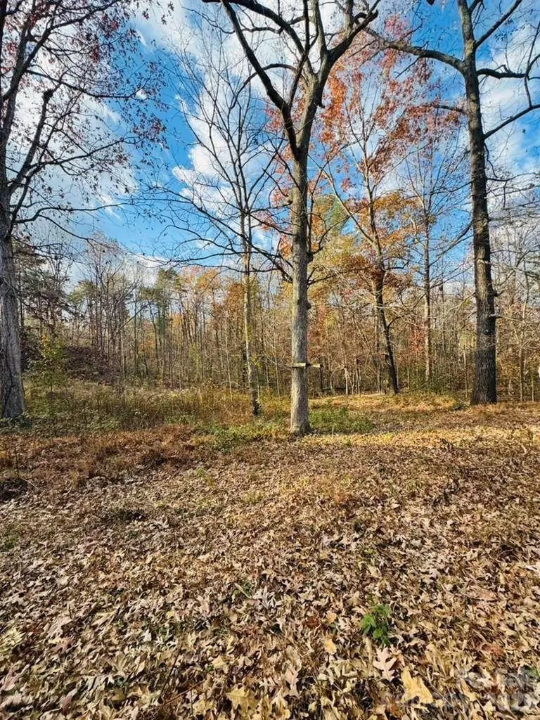 6130 Andria Lane Connelly Springs NC 28612
