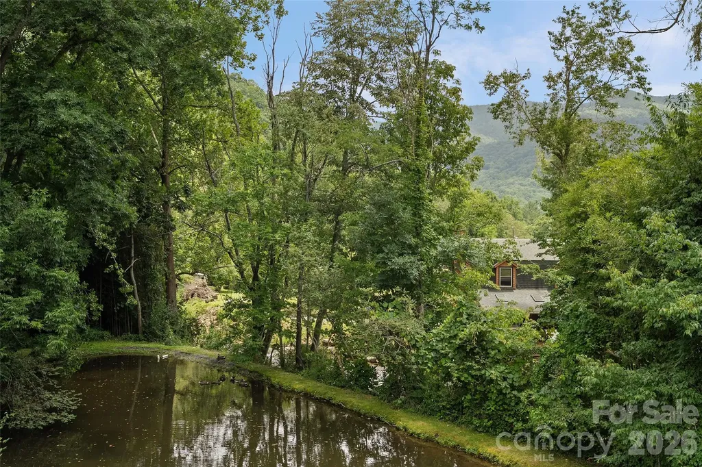 36 Meadows Lane Maggie Valley NC 28751