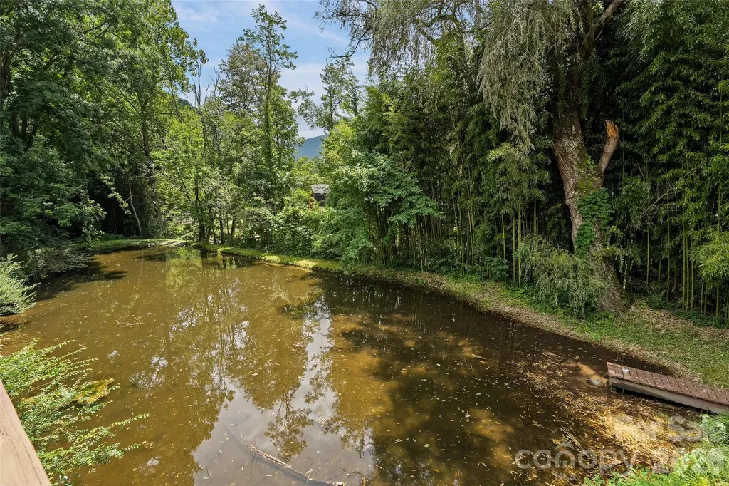 36 Meadows Lane Maggie Valley NC 28751