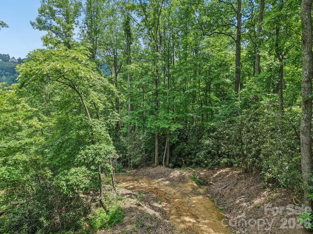 Tbd Fiver Lane Hendersonville NC 28792
