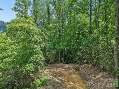Tbd Fiver Lane Hendersonville NC 28792