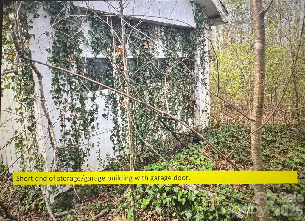 3246 Texs Fish Camp Road Connelly Springs NC 28612