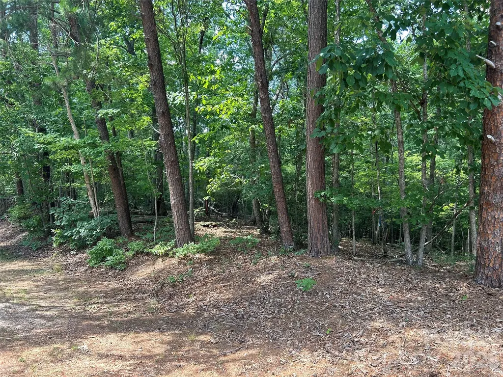 111 Peach Drive Troy NC 27371