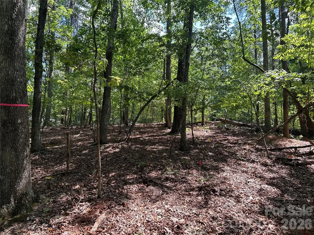 111 Peach Drive Troy NC 27371
