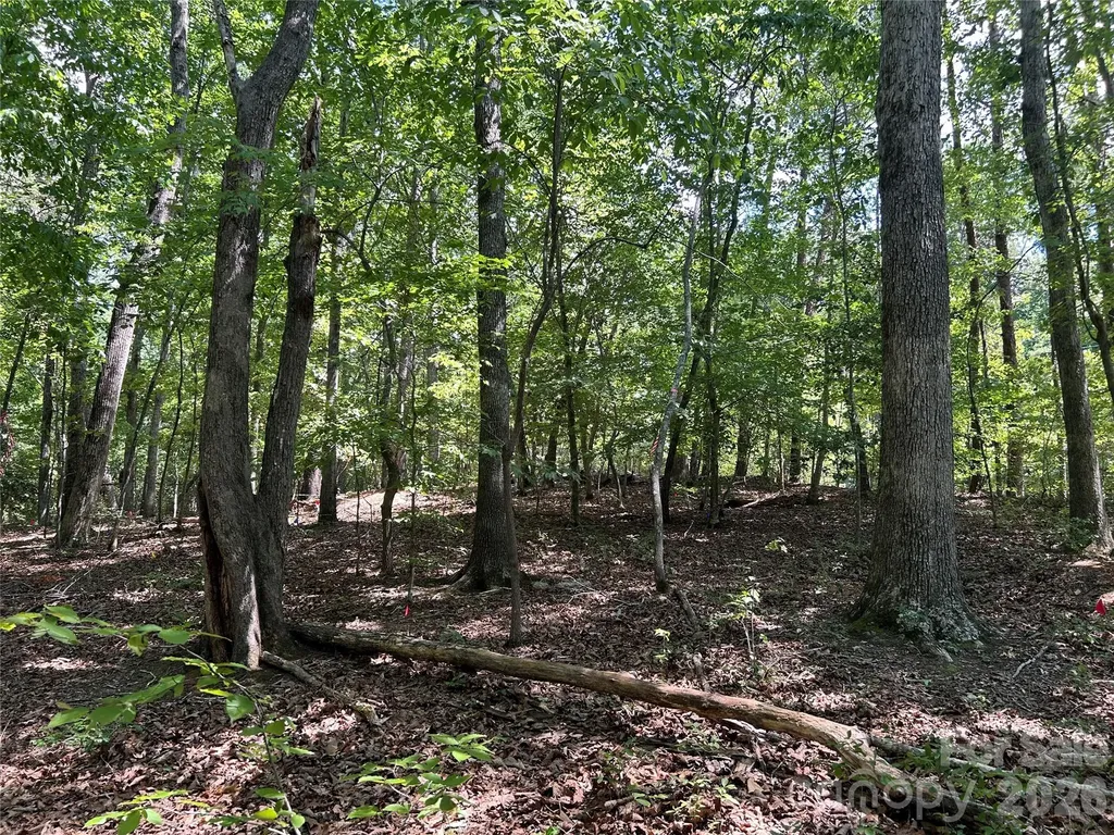 111 Peach Drive Troy NC 27371