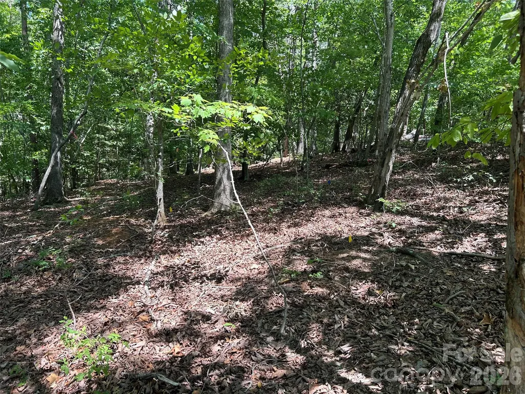 111 Peach Drive Troy NC 27371