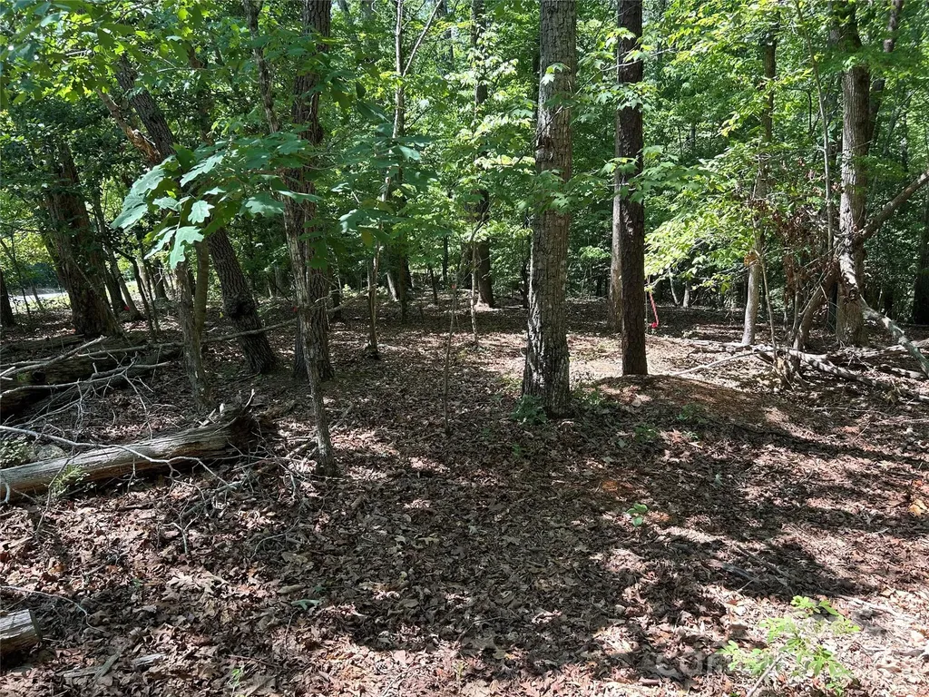 111 Peach Drive Troy NC 27371