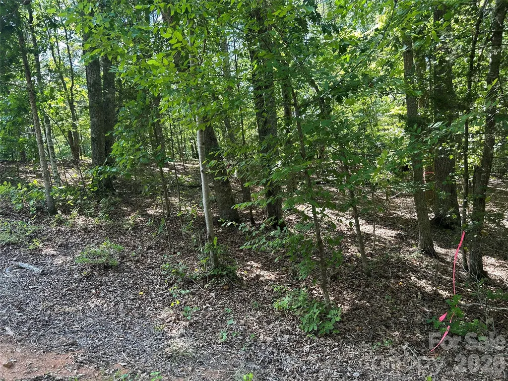 111 Peach Drive Troy NC 27371