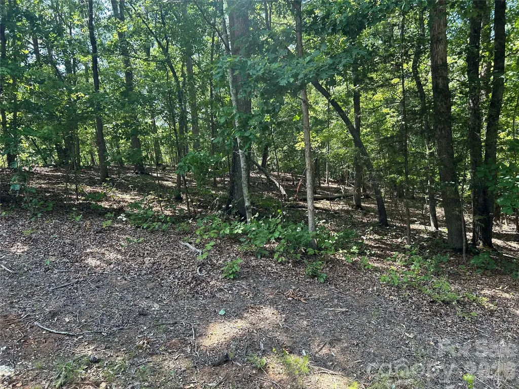 111 Peach Drive Troy NC 27371