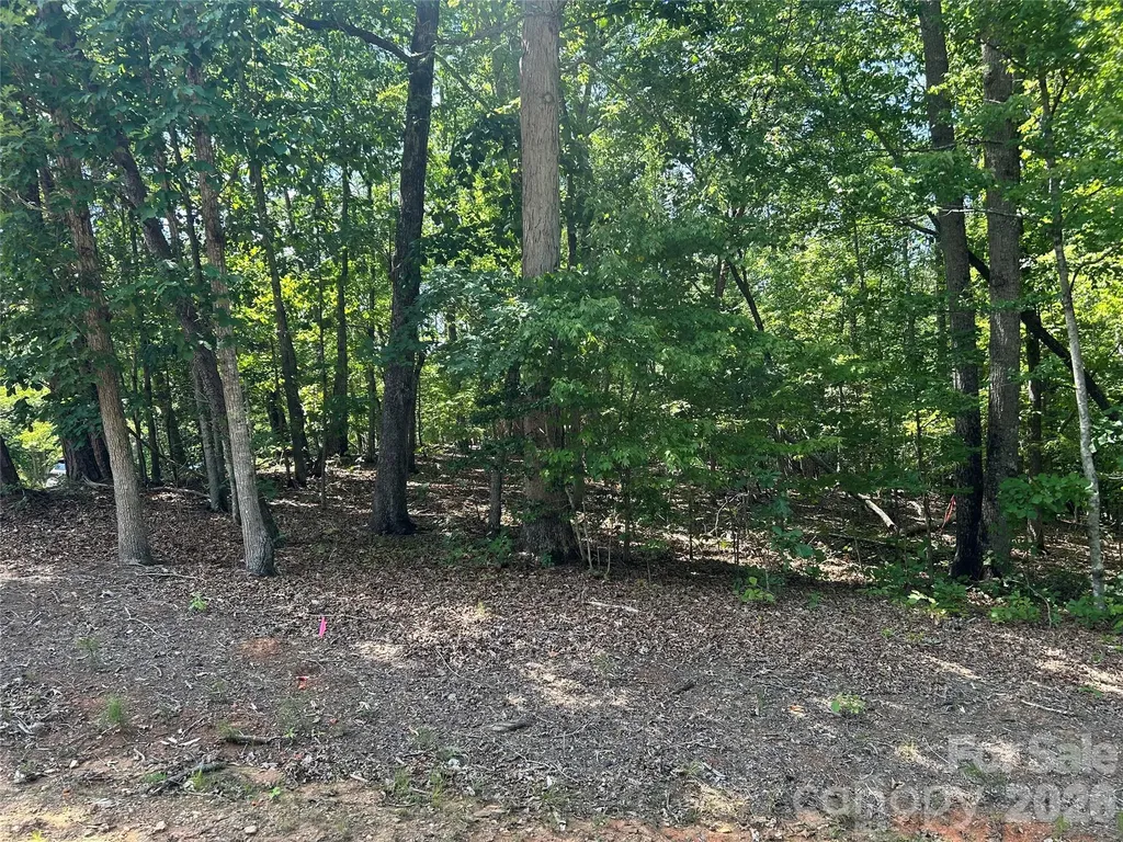 111 Peach Drive Troy NC 27371