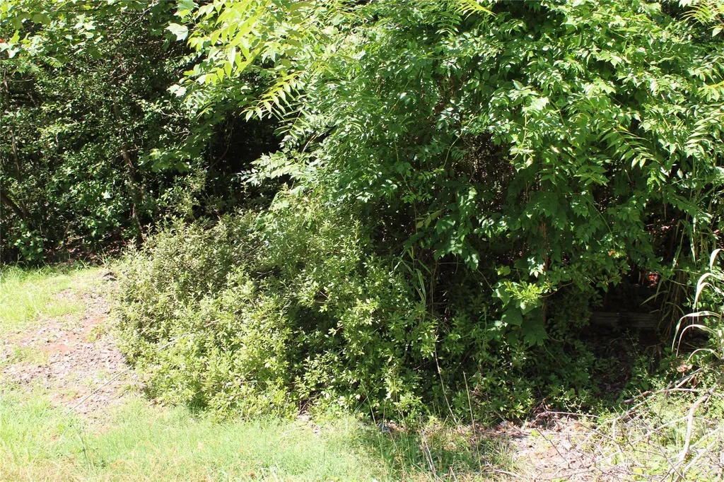 3041 Bills Creek Road Lake Lure NC 28746