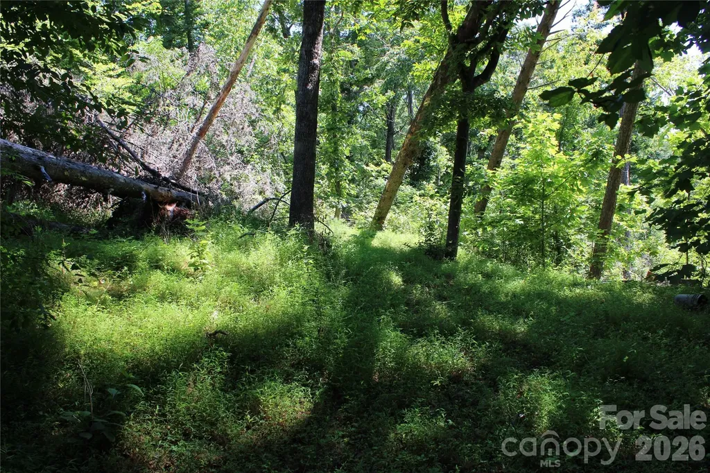 3041 Bills Creek Road Lake Lure NC 28746
