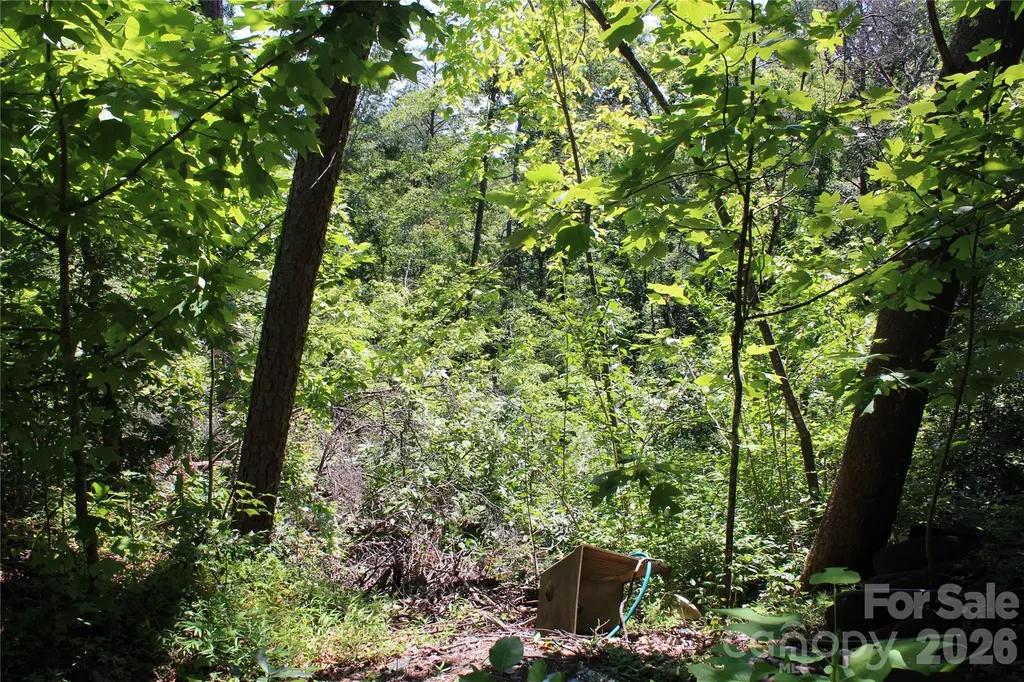3041 Bills Creek Road Lake Lure NC 28746