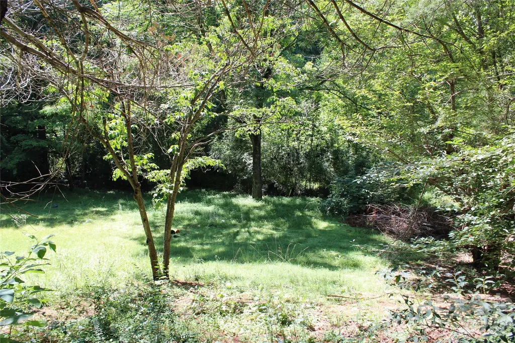 3041 Bills Creek Road Lake Lure NC 28746