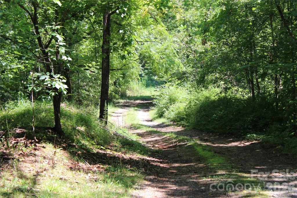 3041 Bills Creek Road Lake Lure NC 28746