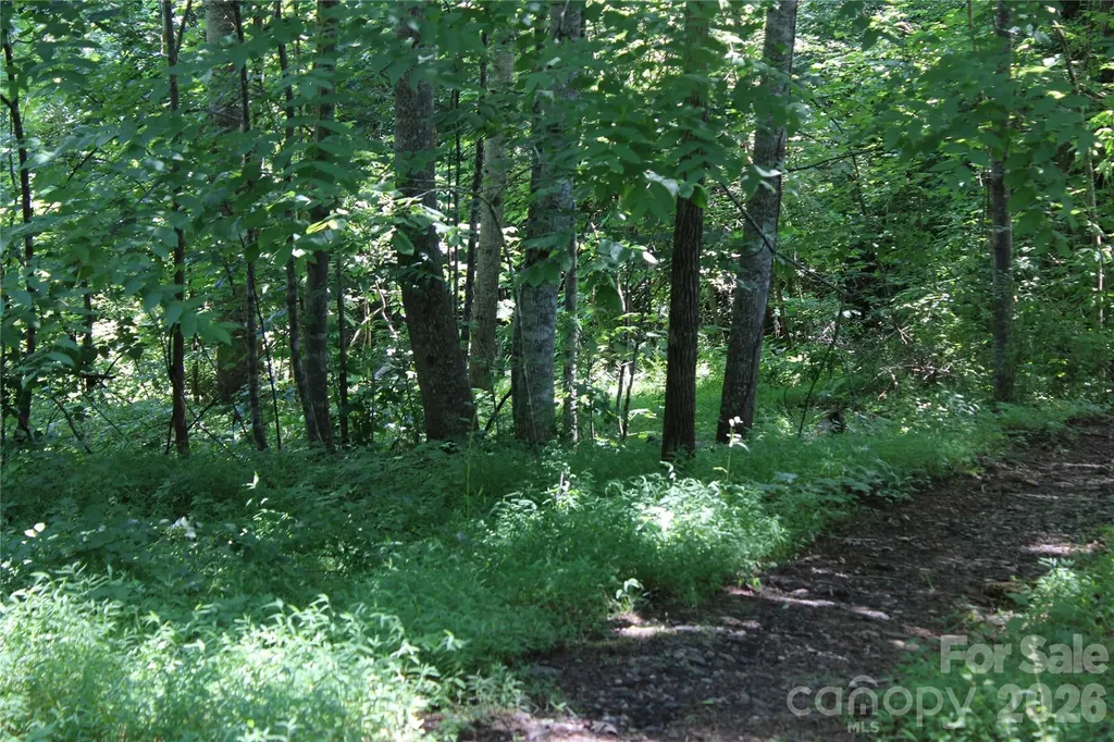 3041 Bills Creek Road Lake Lure NC 28746