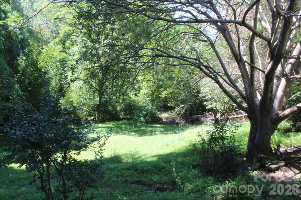 3041 Bills Creek Road Lake Lure NC 28746