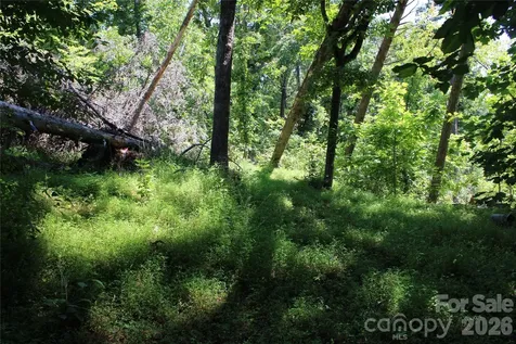 3041 Bills Creek Road Lake Lure NC 28746
