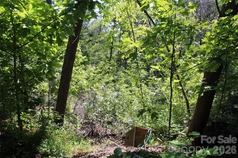 3041 Bills Creek Road Lake Lure NC 28746