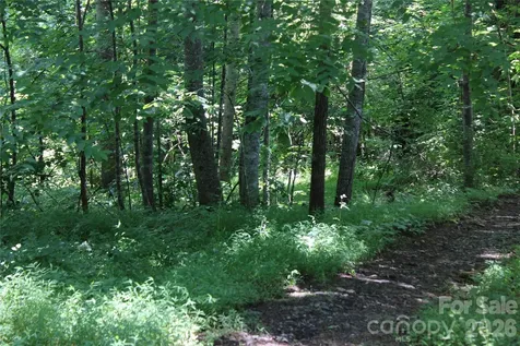 3041 Bills Creek Road Lake Lure NC 28746
