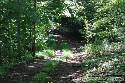 3041 Bills Creek Road Lake Lure NC 28746
