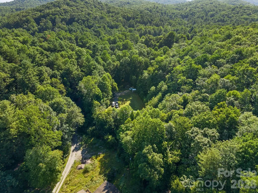 125 Ice Hollow Road Zirconia NC 28790
