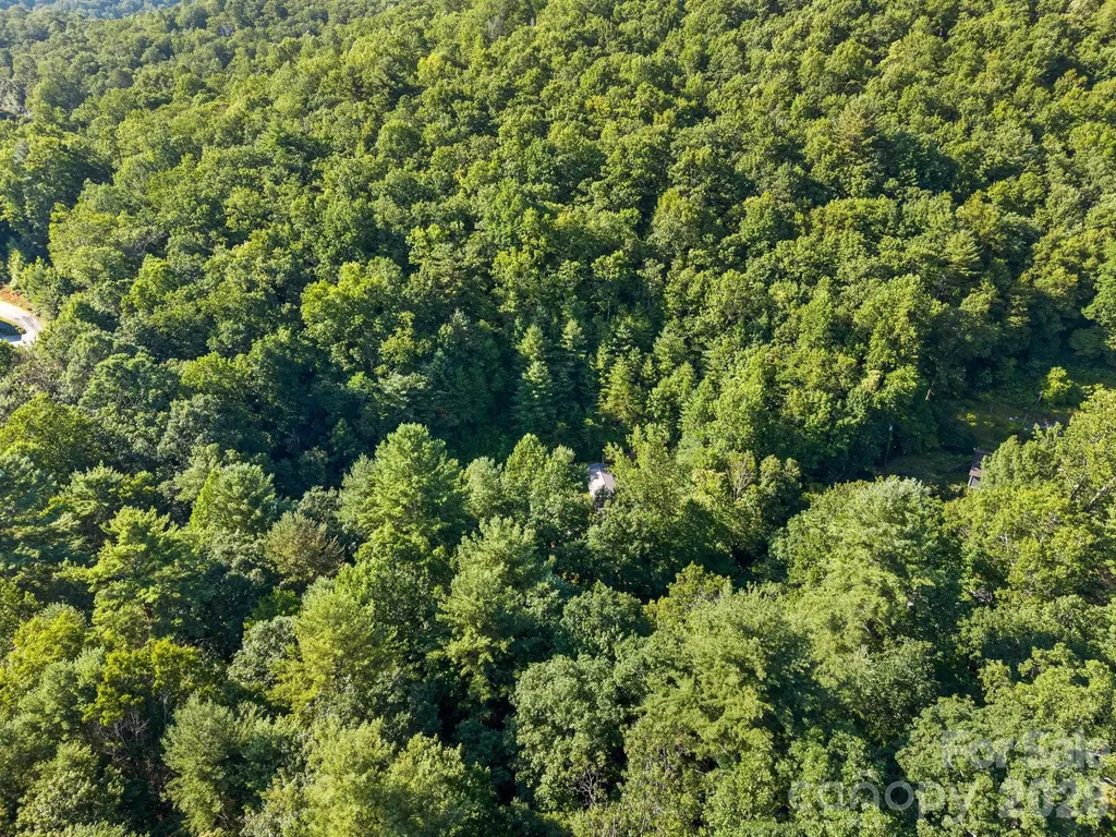 125 Ice Hollow Road Zirconia NC 28790