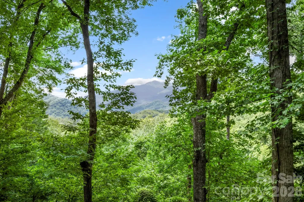 394 Hickory Drive Waynesville NC 28786