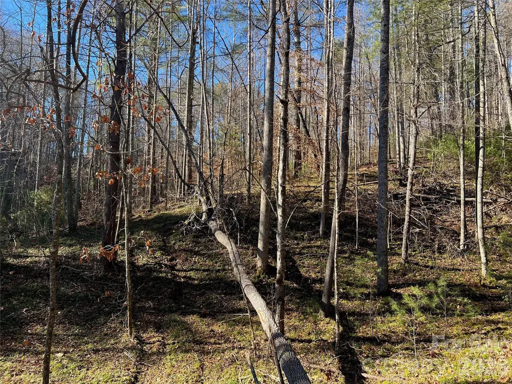 147 Falling Leaves Lane Asheville NC 28792