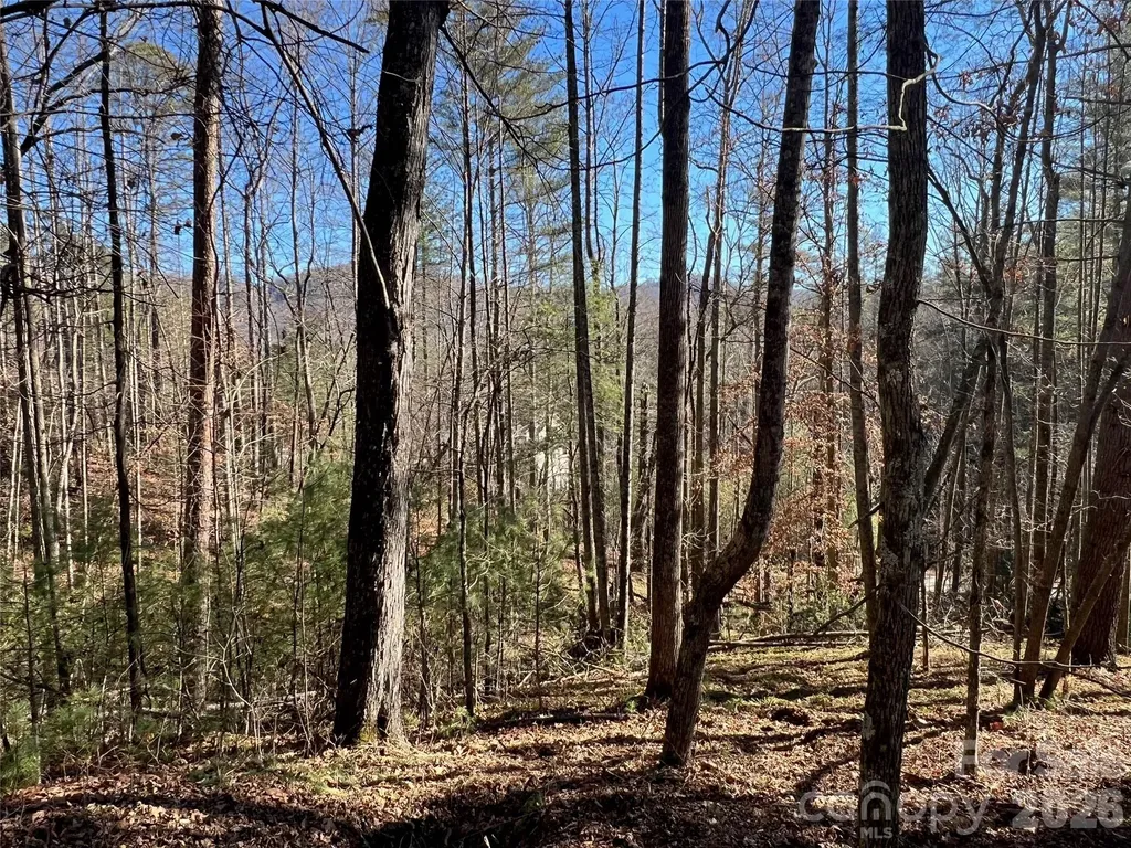 147 Falling Leaves Lane Asheville NC 28792